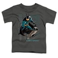 thumbnail image 2 of Dc League Of Super Pets Bat And Ace Kids T Shirt (2) for Youth Toddler Boys and Girls, Charcoal, 2 of 5