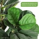 thumbnail image 3 of ChaoLink Árbol falso de higuera de hoja de violín de 6 pies con macetero blanco alto, plantas artificiales con 74 hojas, árbol falso realista verde, 3 of 7