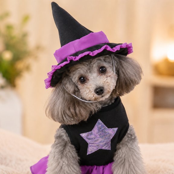 Cmafuca Puppy Witch Costume Halloween Christmas Funny Party Cosplay Clothes for Cat, Small Dog