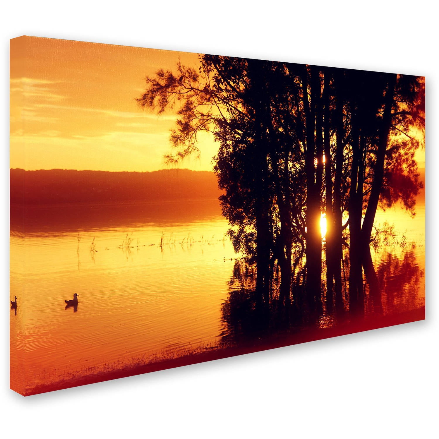 Trademark Fine Art "Lonely at Sunset" Canvas Art by Beata Czyzowska Young