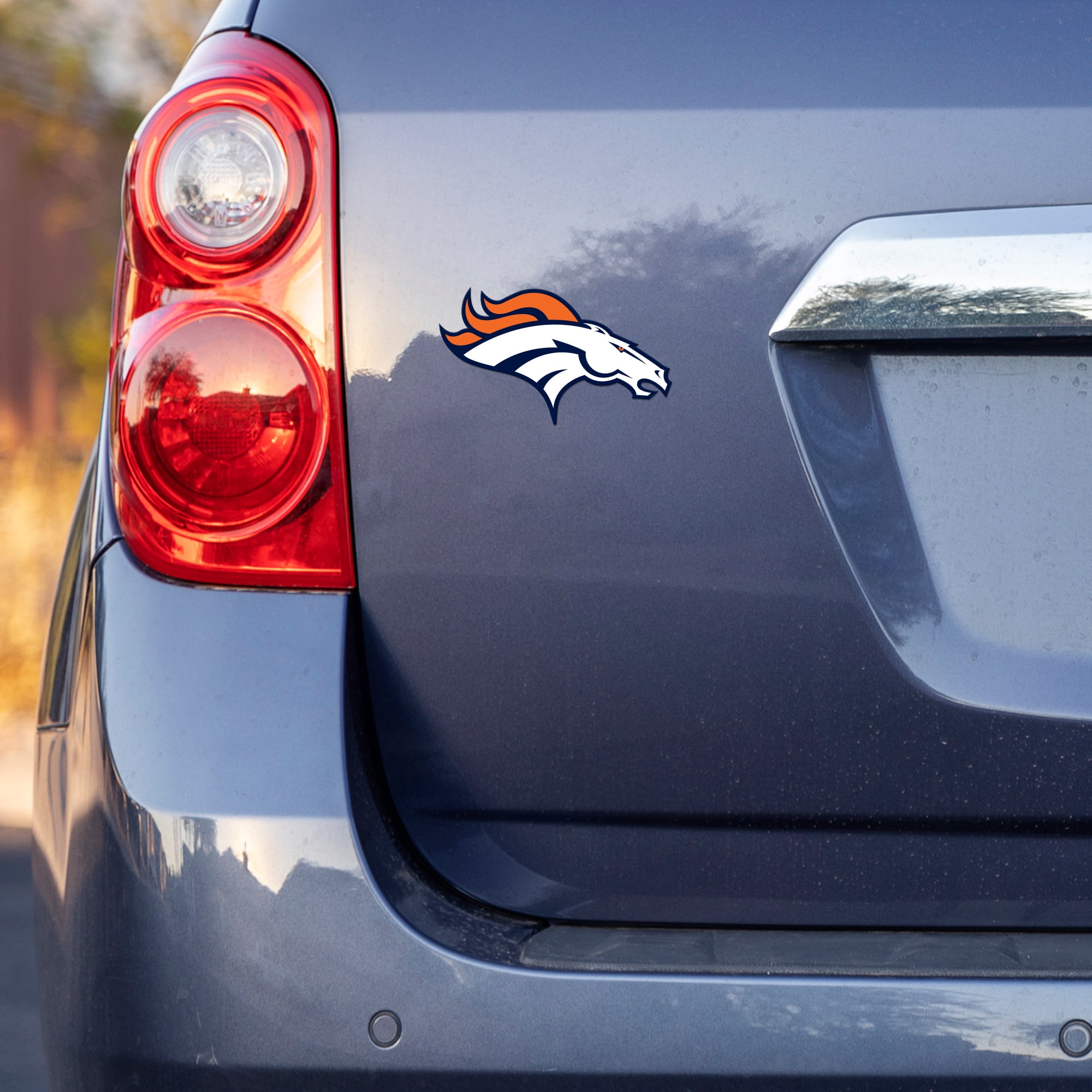 Panthers Short Sport Decal