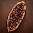 thumbnail image 4 of E. Wedel, Ptasie Mleczko Candy Box, Polish Bird's Milk, Delicate & Soft Vanilla Flavor Marshmallow in Extra Dark Chocolate of 80% Cocoa, 340g/12oz, 4 of 4