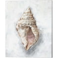 thumbnail image 2 of Great Art Now White Shell Study by Ethan Harper 2 Piece Canvas Art Set Each 12"W x 15"H, 2 of 3