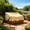 Beige, variant on Waterproof Patio Chair Cover 98x89x79cm, Wenini Heavy Duty Garden Furniture Protector UV Resistant Windproof, Outdoor Sofa Couch Armchair Cover with Drawstring for Patio Set Backyard Deck Balcony,