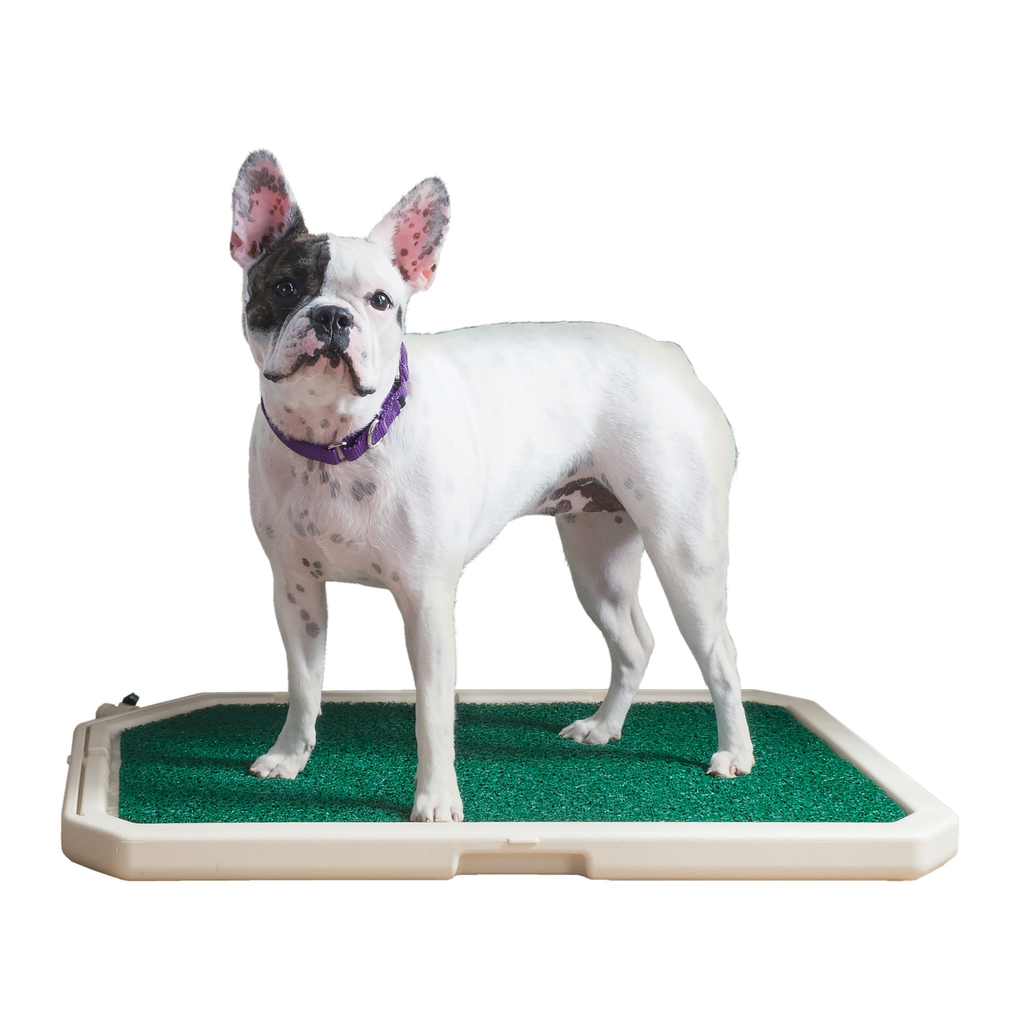 petmaker indoor restroom puppy potty trainer
