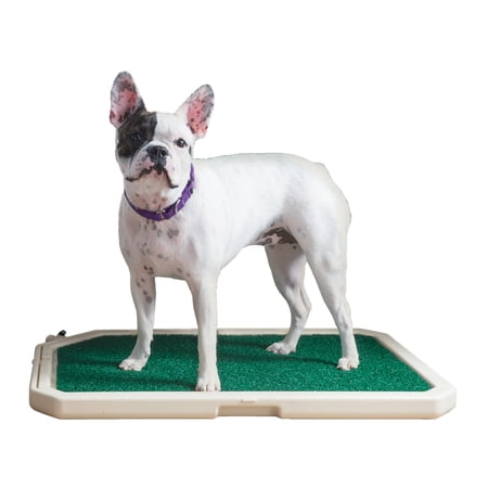 PetSafe Piddle Place Indoor/Outdoor Dog Potty System  Alternative to Puppy Pee Pads