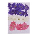 thumbnail image 2 of Beautiful Real Dried Pressed Flowers Petals Leaves Flower Muiltiple for Arts, 2 of 8
