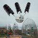 thumbnail image 3 of 50 Pack 25mm Clamps for Greenhouses - Durable and Secure Plant Support, 3 of 5