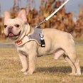 thumbnail image 2 of New Design Suede Dog Harness With Leash Puppy Adjustable Reflective Vest Cat Pet Harness For Small Medium Dogs Walk Lead Leashes, 2 of 5