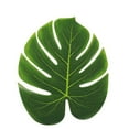 thumbnail image 2 of Boneless Monstera Leaf Hawaiian Party Monstera Green Plant Table Decoration, 2 of 6