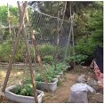 thumbnail image 3 of 4size/garden Plant Trellis Netting Heavy-duty Polyester Plant Support Vine Climbing Hydroponics Garden Net Accessories Multi Use, 3 of 5