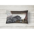 thumbnail image 2 of Carolines Treasures PPP3250PW1216 Cairn Terrier Bath Time Canvas Fabric Decorative Pillow  12H x16W multicolor, 2 of 3