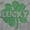 Sport Grey, variant on Lucky 4 Leaf Clover St Patrick's Day Hoodie Sweatshirt Women Men Brisco Brands L
