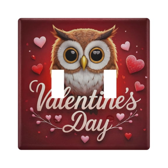 Dailycode Light Switch Plate Covers 2 Gang Wall Plate Plastics Outlet Covers for Kitchen Home Office Decor Cute Owl and Heart