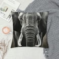 thumbnail image 2 of Shiartex  African Elephant  Throw Pillow CoversPillow Case Cushion Double Sided with Hidden Zipper, for Home Decor Couch Bed Sofa Car White, 2 of 5