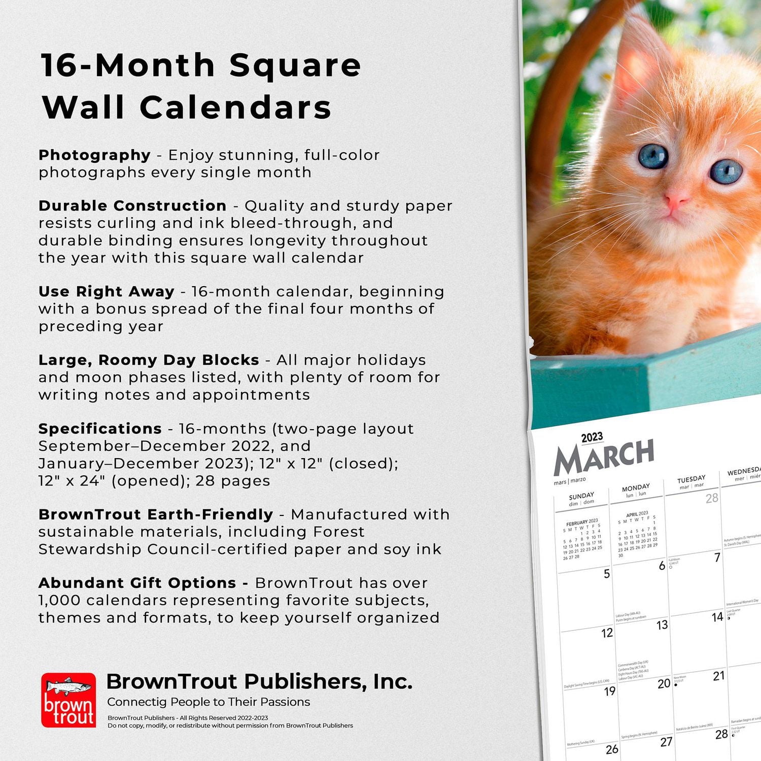 I Love Kittens | 2023 12x24 Inch Square Wall Calendar