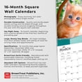 thumbnail image 2 of Kittens, I Love 2023 Square, 2 of 8