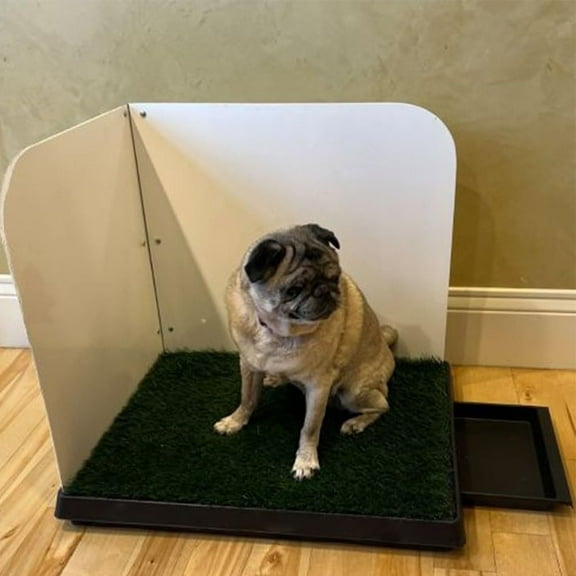 Pet Potty Park Deluxe Dog Bathroom.