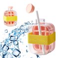 thumbnail image 4 of 500 Ml Molde Hielo Al Aire Libre Refrigerador Con Paja Creativa Demould Botella () Rosa, 4 of 9