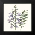 thumbnail image 2 of Vision Studio 20x20 Black Modern Framed Museum Art Print Titled - Graceful Botanical III, 2 of 5