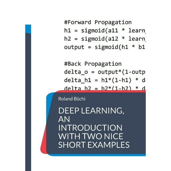 Deep Learning, an introduction with two nice short examples, (Paperback)