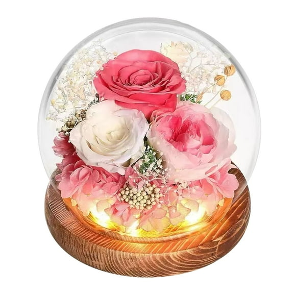 Velance Valentines Day Gifts for Her Preserved Flowers, Rose Flower Bouquet in Glass Dome, Roses Floral Decor Eternal for Indoor Decoration for Girlfriend Women Mom Grandma Wife (Pink)