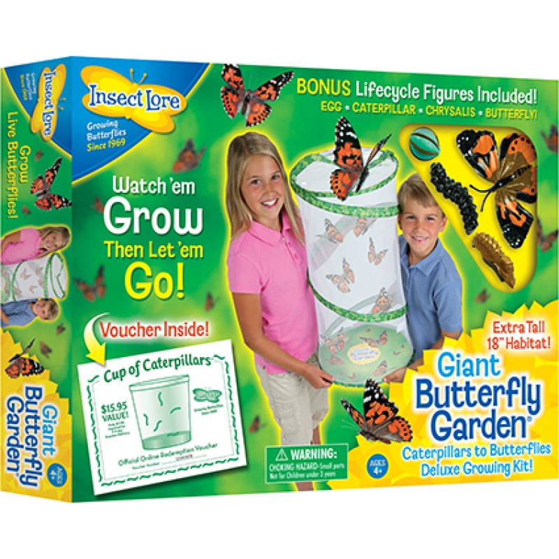 Insect Lore Caterpillars to Butterfly Kit, Deluxe 18 Voucher for 5