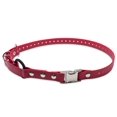 thumbnail image 1 of Collar para perros Educator Quick Snap Bungee Biothane impermeable rojo, 1 of 6
