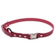 thumbnail image 1 of Collar para perros Educator Quick Snap Bungee Biothane impermeable rojo, 1 of 6