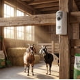 thumbnail image 5 of YEMNPIOS Automatic Fly Spray Dispenser, 24 Hour Insect Control Air Freshener for Bathroom Room Equine, Liquid Not Included, 1 Pack, 5 of 6