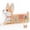 Orange, variant on Woodty Rabbit Activity Wall Busy Board Sensory Toy – Large 1 Piece – Interactive Wooden Play Panel for Kids – Montessori-Style Learning & Fine Motor Development