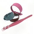 thumbnail image 5 of Adjustable Leather Collar for Large Dogs & Italian Greyhounds, Durable Pet Accessory, Yellow Strap, 5 of 5