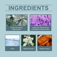 thumbnail image 4 of Sueño Cedar Whisper Perfume,Cedarwoody Perfume,Wood Perfume,long-lasting, Provide Attraction,blended With Earthy And Wood,cedar Scent,35ml, 4 of 5