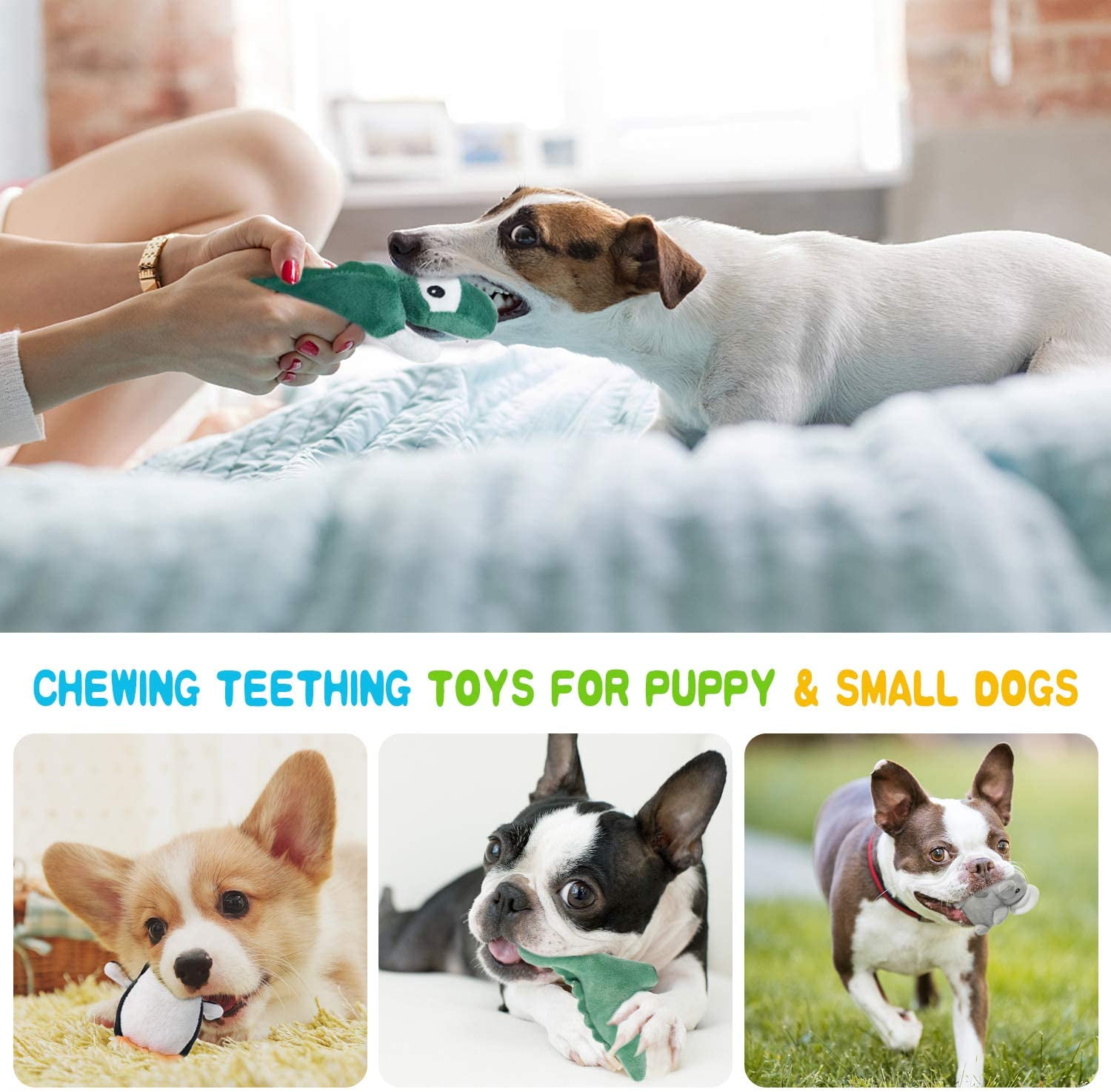 LEGEND SANDY Squeaky Dog Toys for Puppy Small Medium Dogs, Stuffed Samll Dog Toys Bulk with 12 Plush Pet Dog Toy Set, Cute Safe Dog Chew Toys Pack for Puppies Teething (12 Dog Toys)