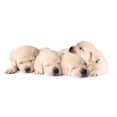 thumbnail image 2 of Four Sleeping Labrador Puppies Wall Mural by Wallmonkeys Peel and Stick Graphic (18 in W x 7 in H) WM346488, 2 of 4