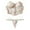 Beige, variant on Sexy European Fish Bone Corset Can Be Worn Outside Small Chest Gathered Thin Lace Bra Vest Type Underwear Suit Women Sexy Micro Bikini Lingerie G-String Thong Set Mesh Long Sleeve Tops For Women Women