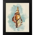 thumbnail image 2 of Loreth, Lanie 12x14 Black Modern Framed Museum Art Print Titled - Triton Shell, 2 of 5