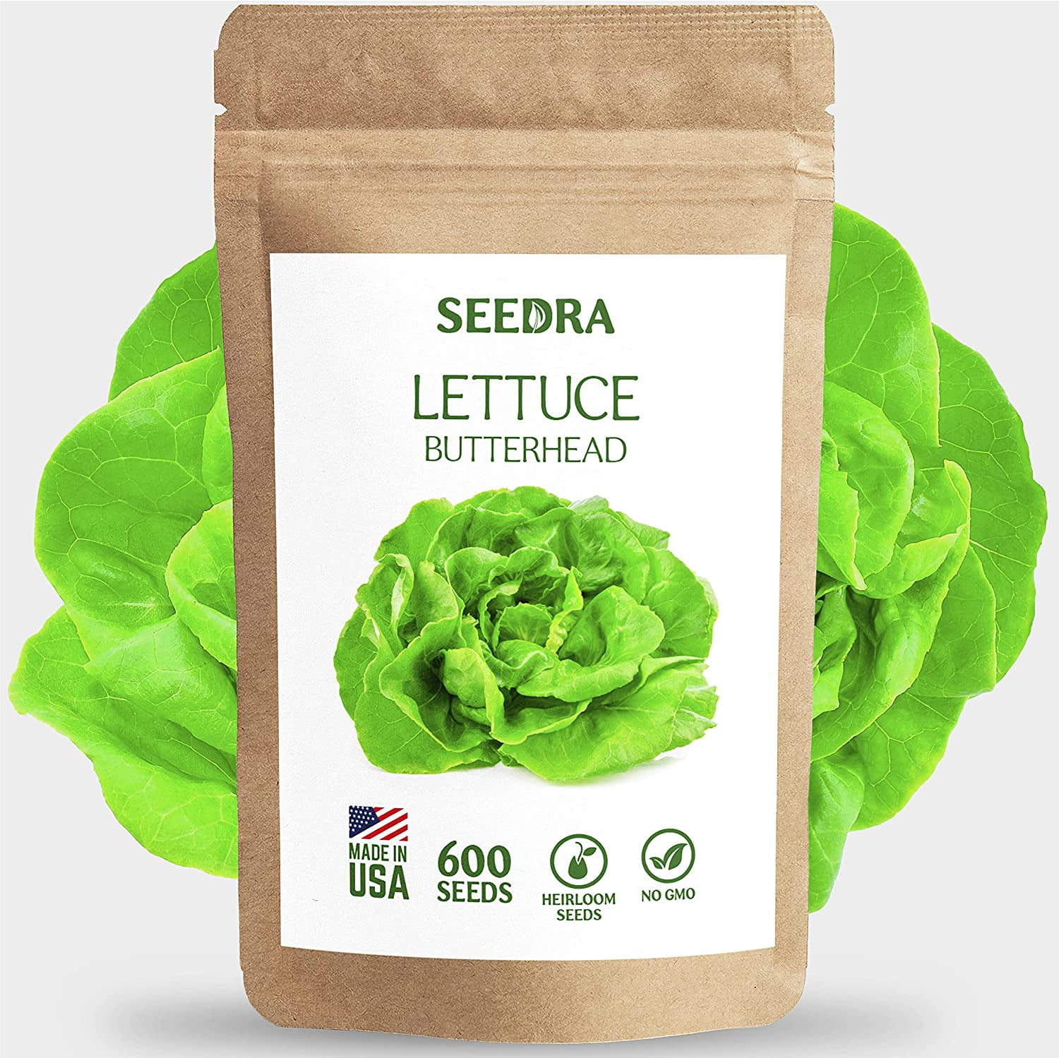 SEEDRA.US 600 Lettuce Buttercrunch Seeds for Indoor and Outdoor