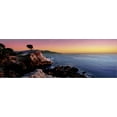 thumbnail image 2 of Silhouette of Lone Cypress Tree at a Coast, 17Mile Drive, Carmel, Monterey County, California, USA, Stretched Canvas Wall Art Sold by Art.Com, 2 of 5