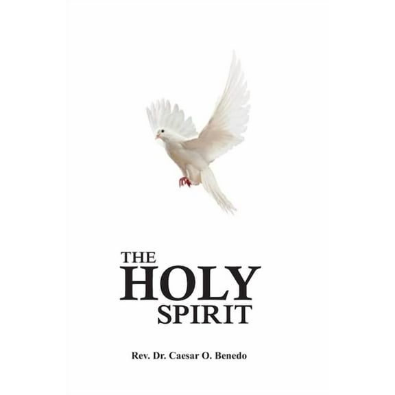 The Holy Spirit (Paperback)