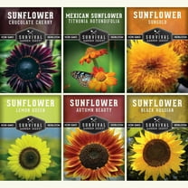 6 Sunflowers with Black Russian, Chocolate Cherry, Sungold, Lemon - Full Sun Annual Flower Seeds
