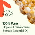 thumbnail image 5 of Plant Therapy USDA Certified Organic Frankincense Serrata Essential Oil 100% Pure, Undiluted, for Diffuser and Discomfort, Therapeutic Grade 30 ml (1 oz), 5 of 7
