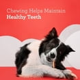thumbnail image 5 of DreamBone DreamSticks Made with Real Chicken, Rawhide-Free Chews for Dogs, 15 Count, 5 of 10