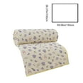thumbnail image 3 of Cool Feeling Air Conditioning Quilt Ice Silk Summer Quilt Washable Quilt Core Summer Singles Double Thin Quilt Gift Summer Quilt, 3 of 7