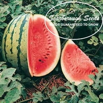 Scarborough Seeds Crimson Sweet Watermelon 25 Seeds - Organic - Non-GMO - USA