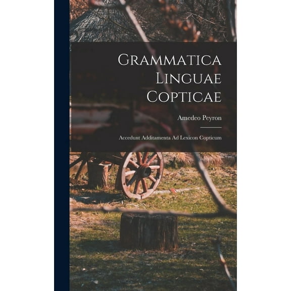 Grammatica Linguae Copticae: Accedunt Additamenta Ad Lexicon Copticum (Hardcover)