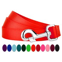 Country Brook Petz - Vibrant 17 Color Selection - Heavyduty Doublehandle Nylon Leash (6 Foot, 3/4 Inch Wide, Neon Orange