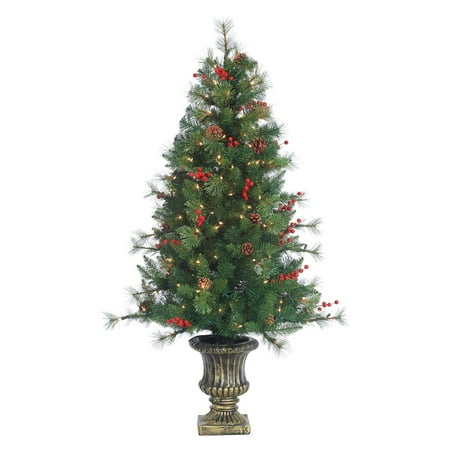 4.5 Ft. Potted Alberta Spruce Pre-Lit Full Christmas Tree By 4.5 ft. Potted Alberta Spruce Pre-Lit Full Christmas Tree by Sterling Tree Company - 4.5 Ft. Potted Alberta Spruce Pre-Lit Full Christmas Tree By