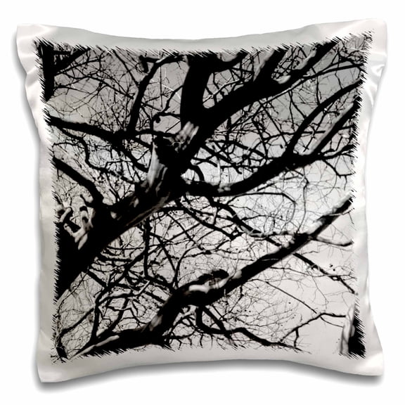 3drose, Black and White Tree Branches Against Sky, 16x16 inch Pillow Case