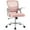 Flip-Up Armrests Pink, variant on EDX Desk Chair with Ergonomic Lumbar Support, Fixed Armrests & Removable Footrest - 250lbs Capacity, Suitable for Home, Office, Bedroom, Gray